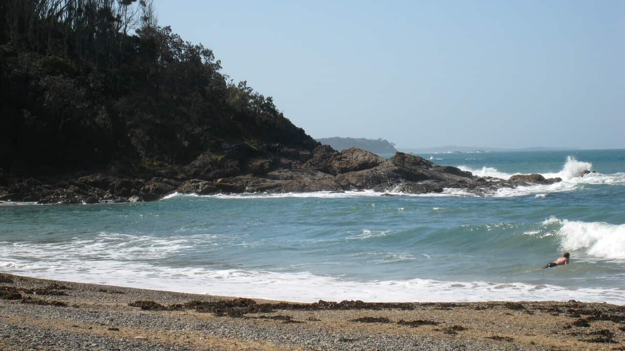 Beach near Coffs Harbour NSW aap.jpg
