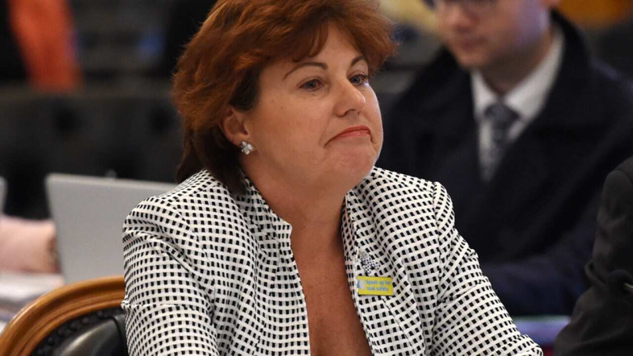 Queensland Police Minister Jo-Ann Miller