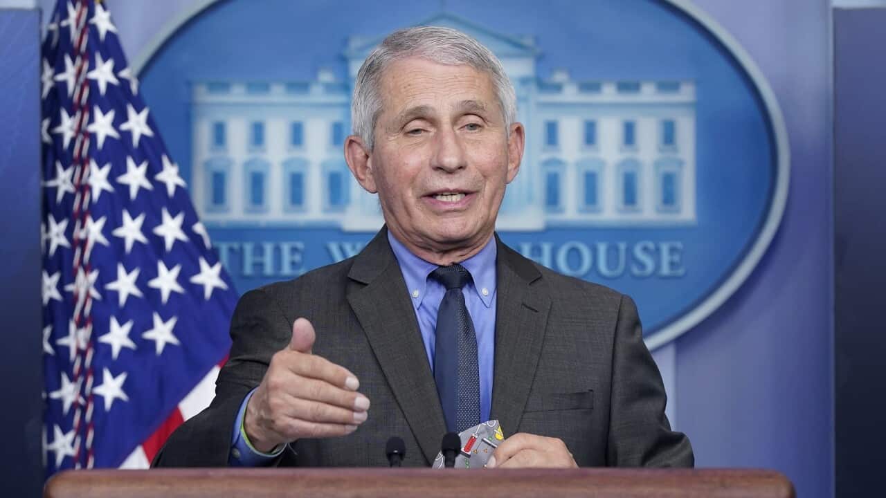 Dr. Anthony Fauci, director of the US National Institute of Allergy and Infectious Diseases