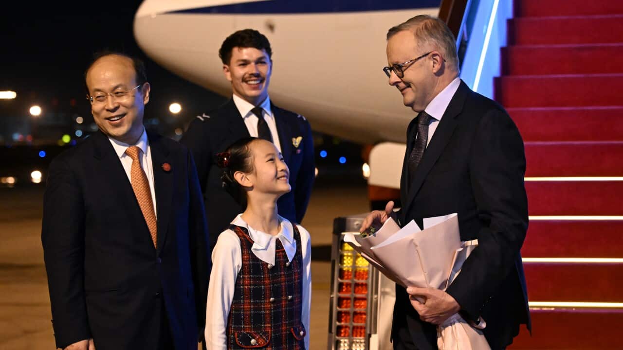 ANTHONY ALBANESE CHINA TOUR