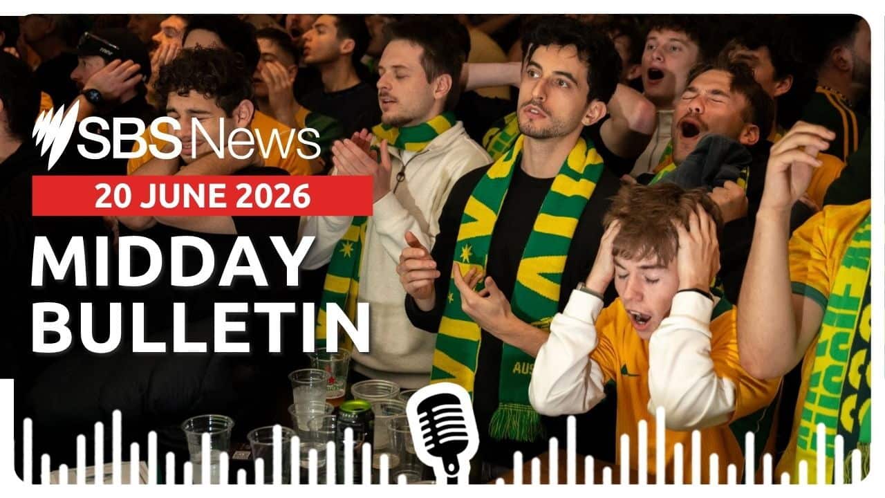 Midday News Bulletin image 20 June 2026.jpg