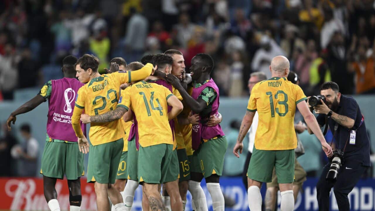 Australia v Denmark: Group D - FIFA World Cup Qatar 2022