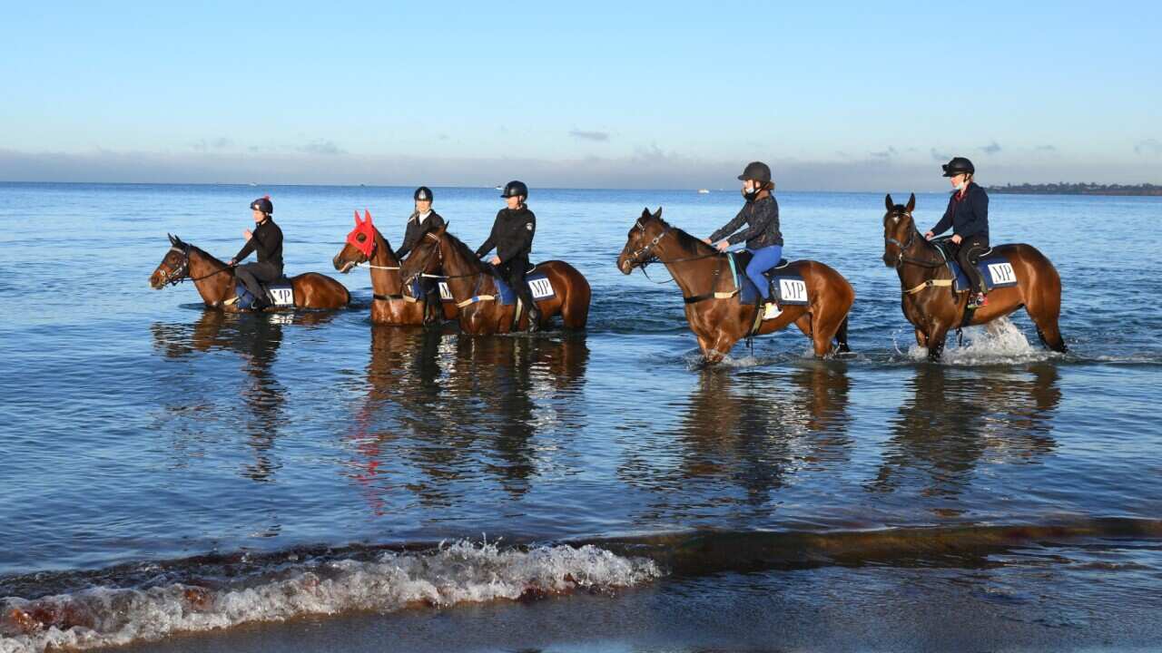 Image for read more article ''