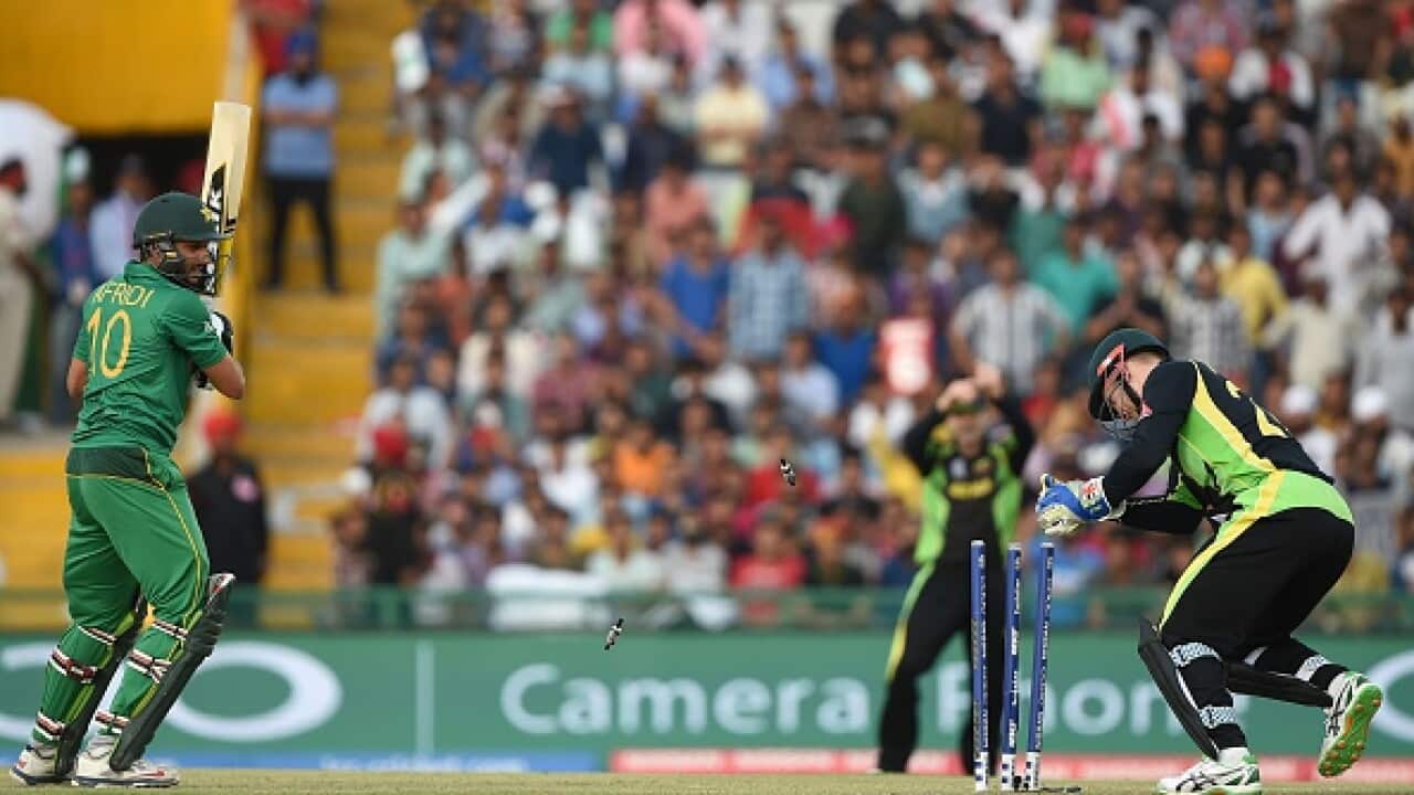 Afridi stumped