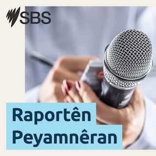 SBS-Podcasts_Correspondents_3000x3000px_LTR_1.jpg