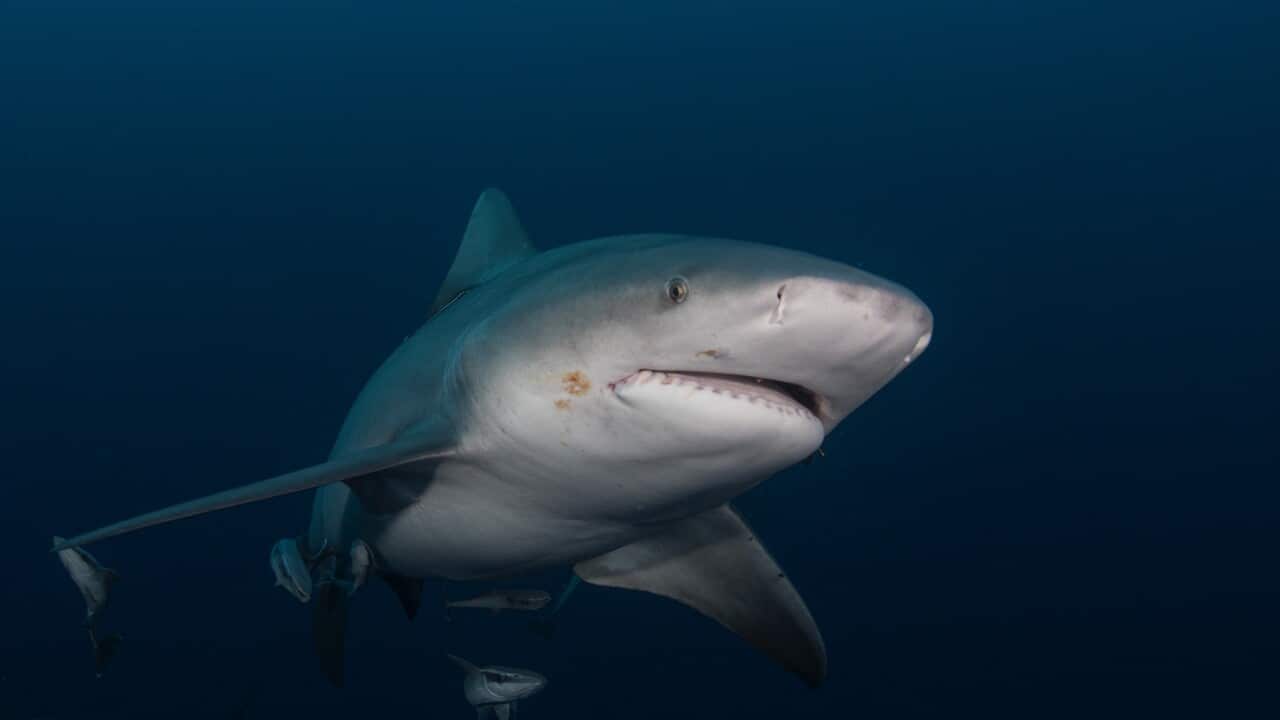 Image for read more article 'READ MORE'