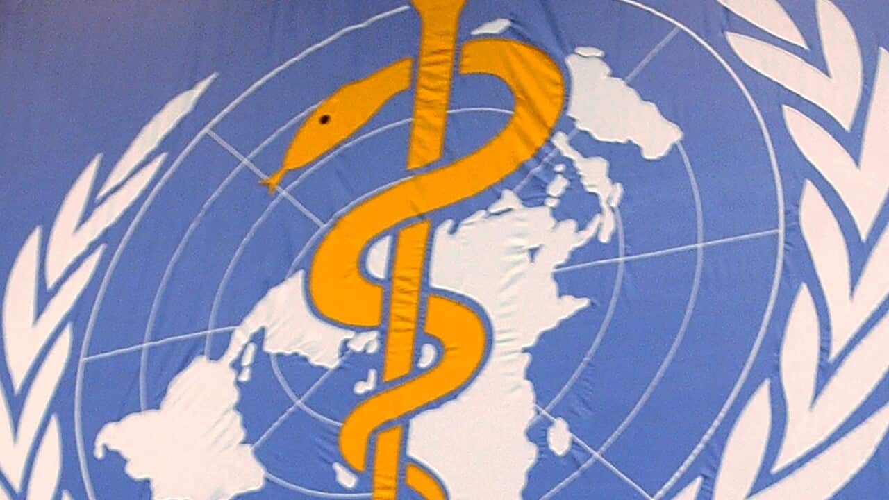 WHO logo at the United Nations in Geneva, Switzerland