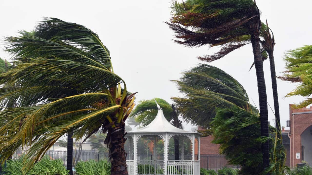 Strong winds lash the town of Bowen, QLD