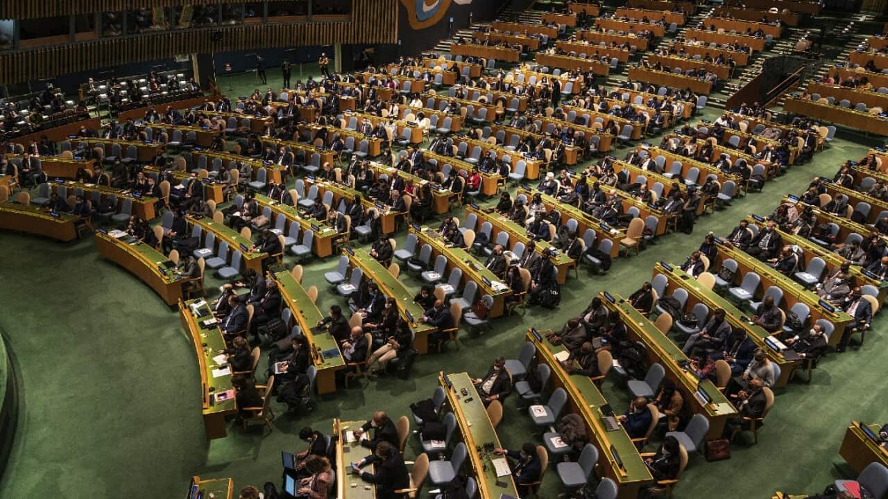 Countries vote on a UN resolution to condemn Russia on its invasion of Ukraine on 2 March 2022.
