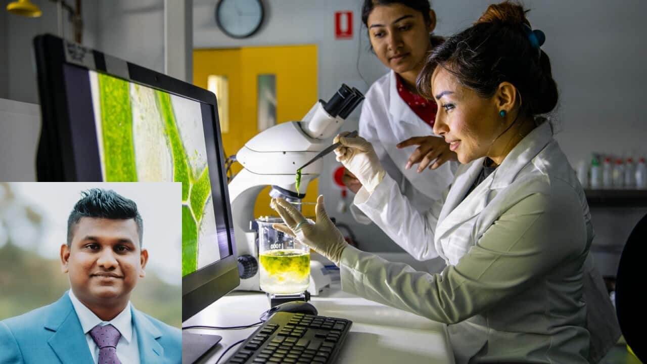 kithmini interview collage.jpg