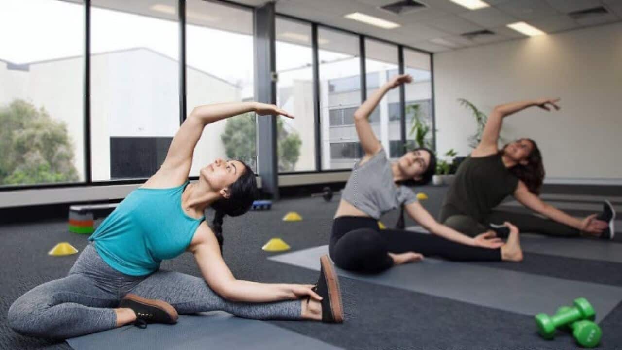 Lana Mohammad-Athletic Zen