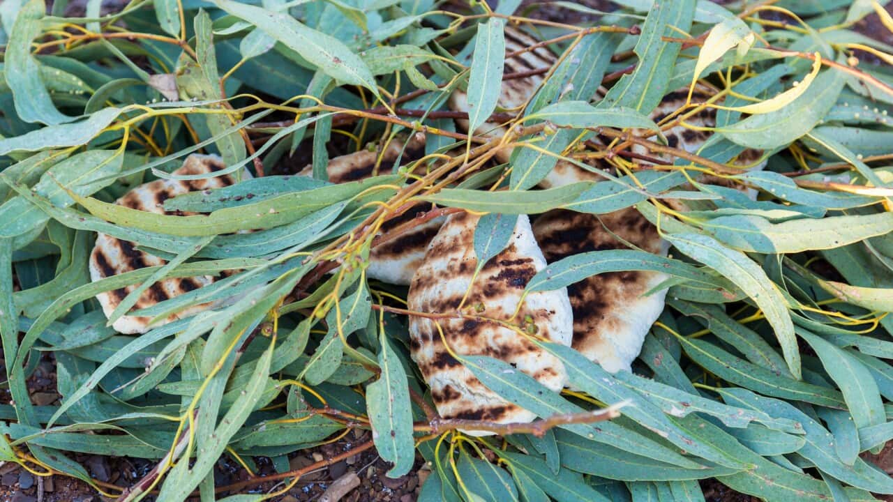 Bush foods should not be overlooked when addressing this concern.