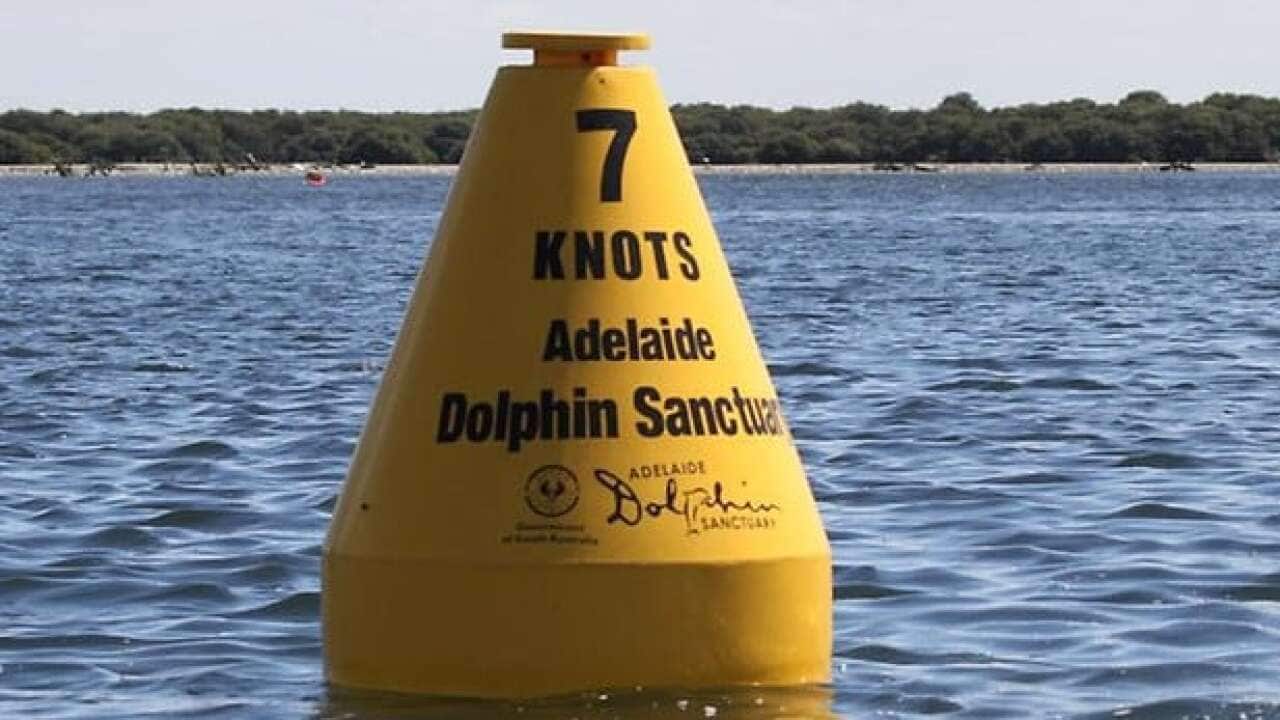 Proposed speed limit for dolphin sanctuary