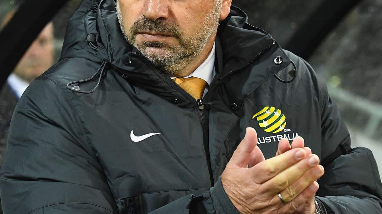 Ange Postecoglou