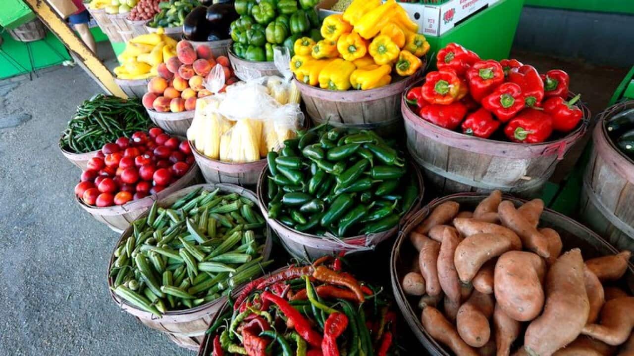 Vegetable supply in Queensland