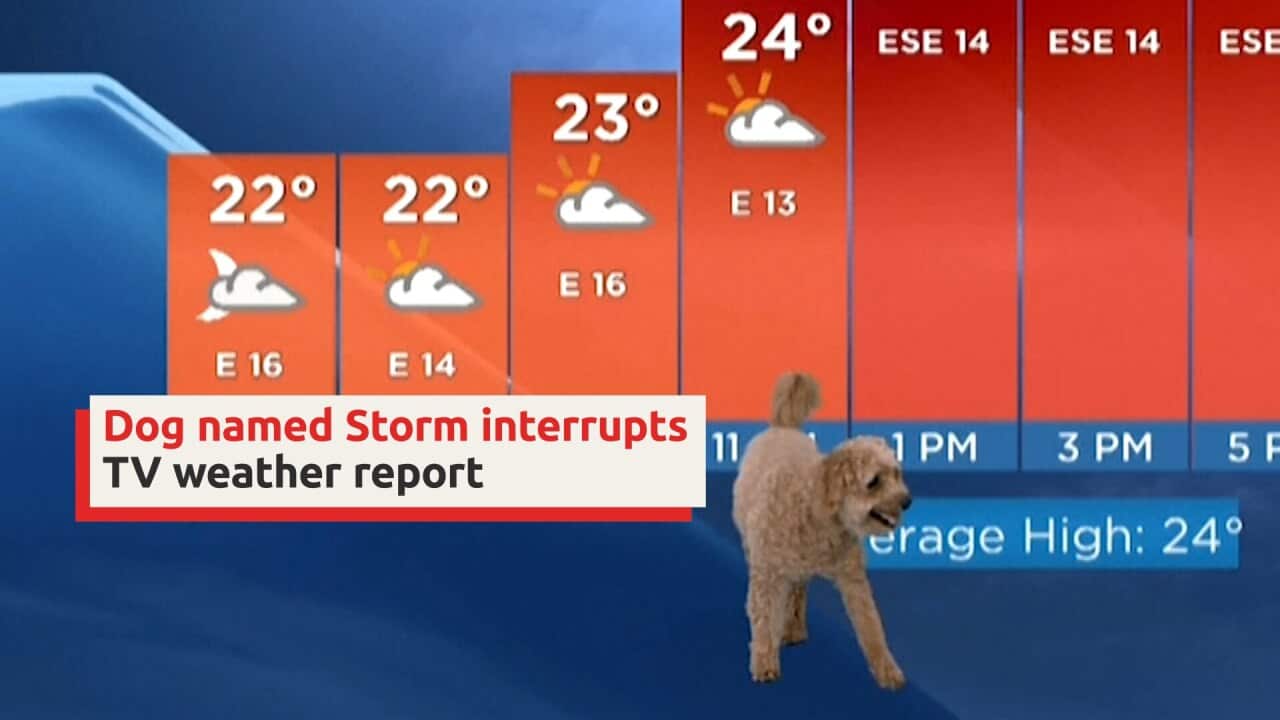 Image for read more article 'ΔΕΙΤΕ ΑΚΟΜΗ'