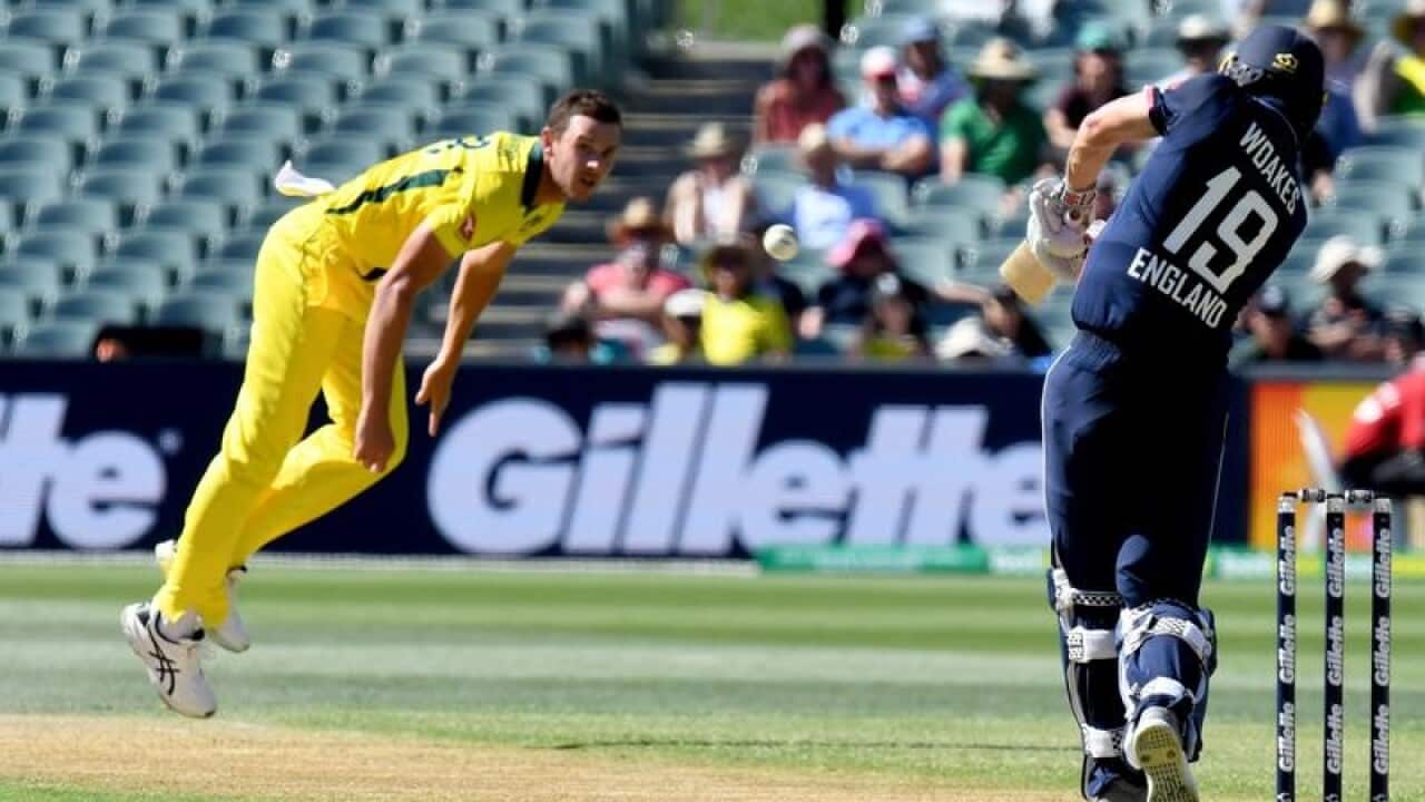 cricket