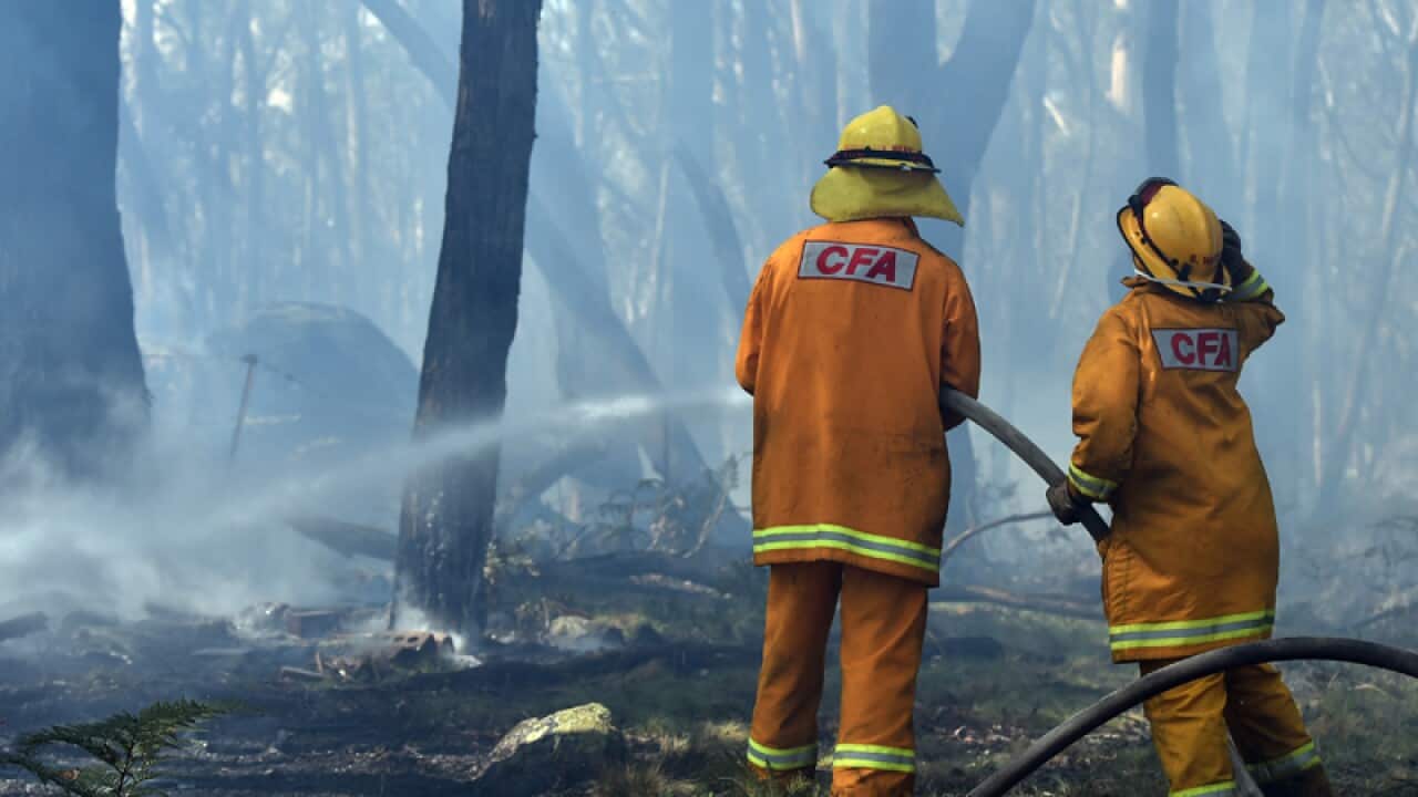 CFA firefighters douse trees at the Lancefield fire near Benloch
