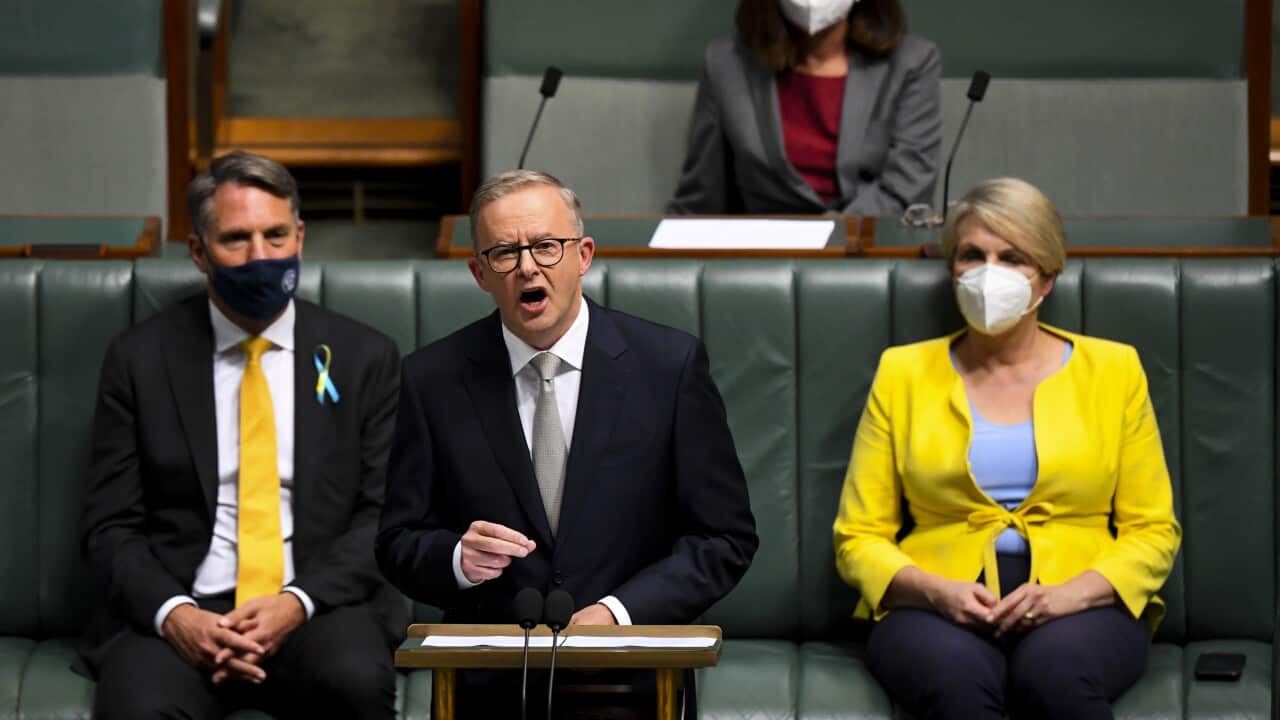 聯邦反對黨領袖艾巴尼斯(Anthony Albanese)昨晚就政府財案進行回應,並承諾提供 25億元改善長者護理服務