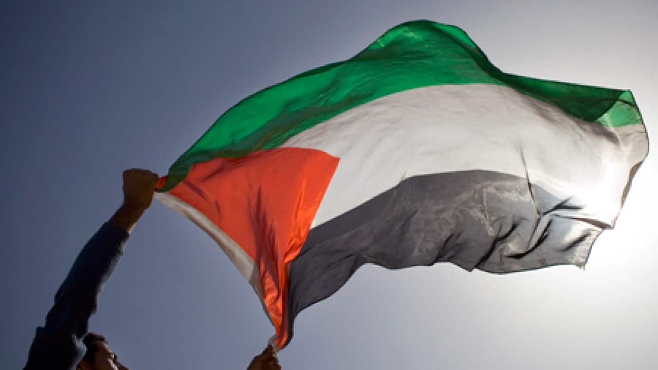 palestinian_flag_wave_100923_B_ap_2105289806