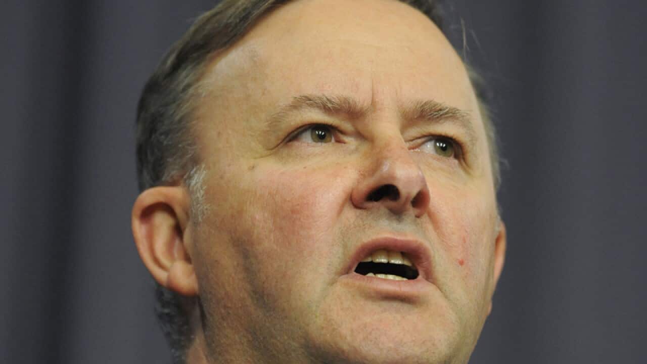 Govt releases council referendum wording