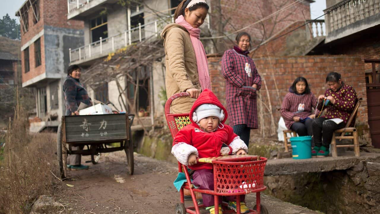 Image for read more article ''