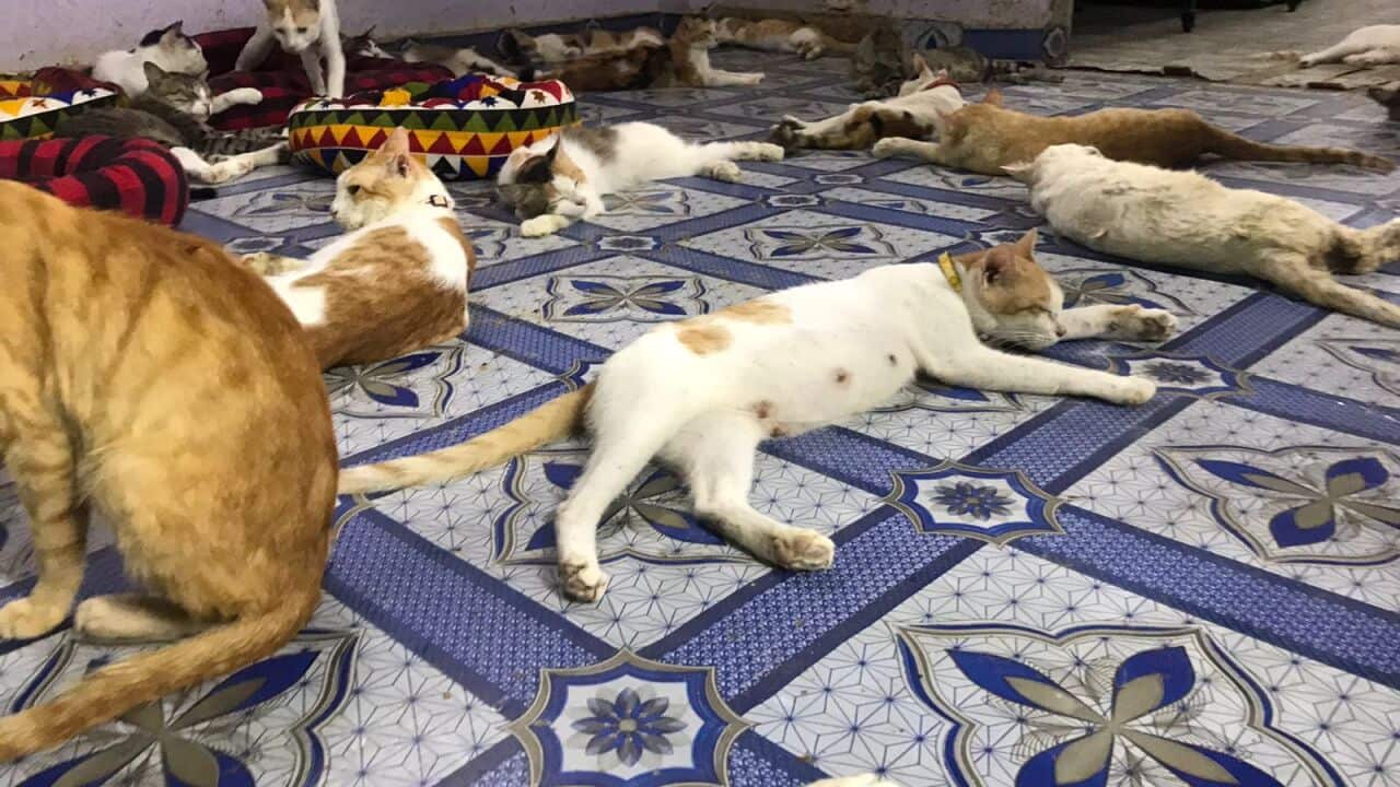 WhatsApp Image 2024-05-29 at 03.55.42.jpeg