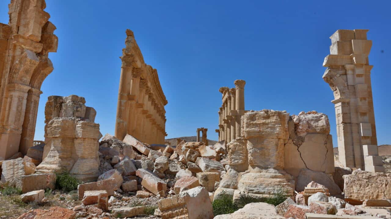 Palmyra