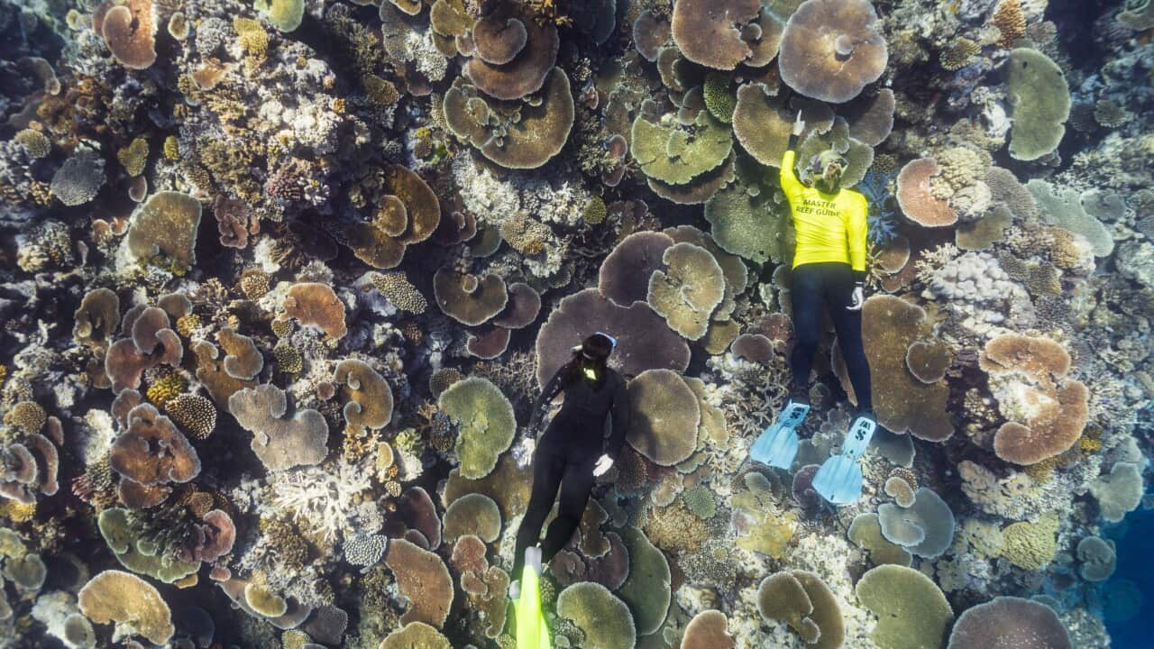 Image for read more article '更多內容'