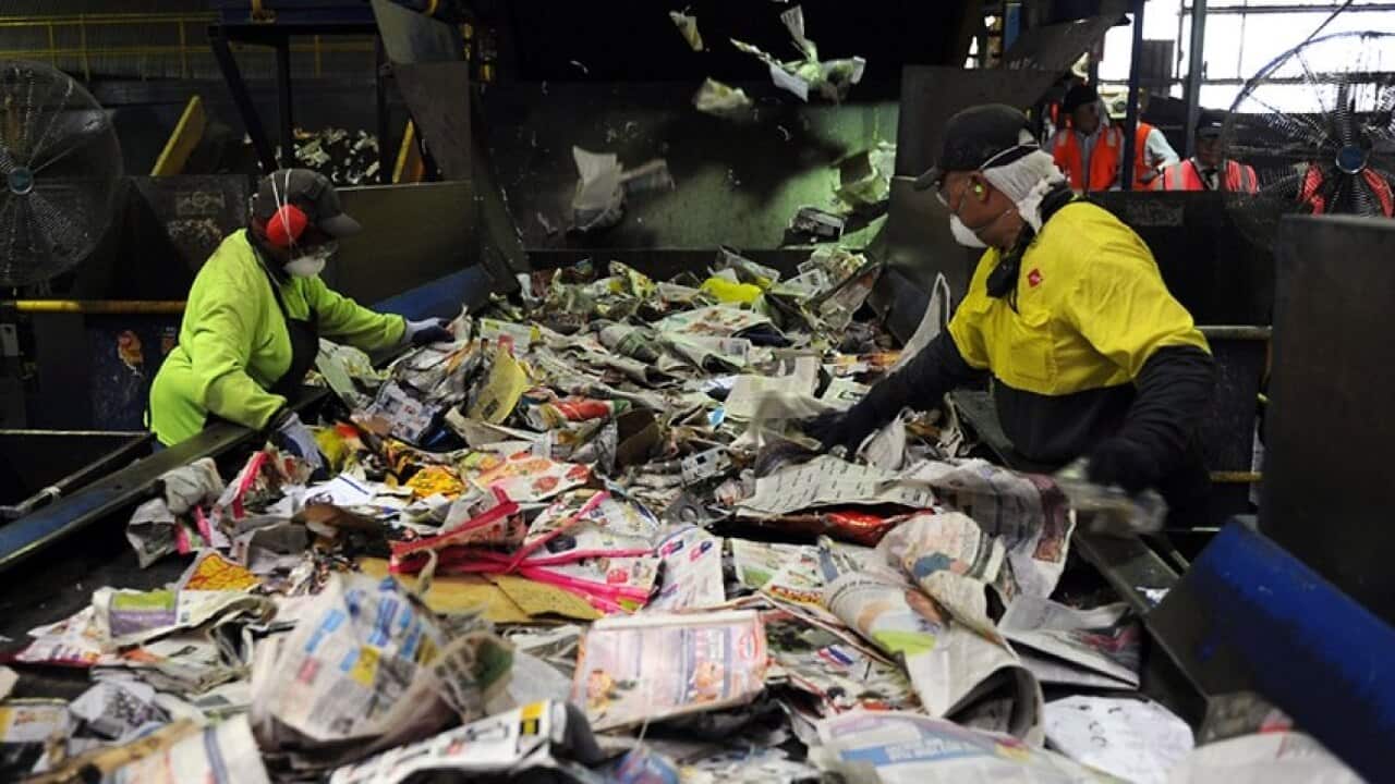 FILE: Workers at the Visy recycling plant in Brisbane