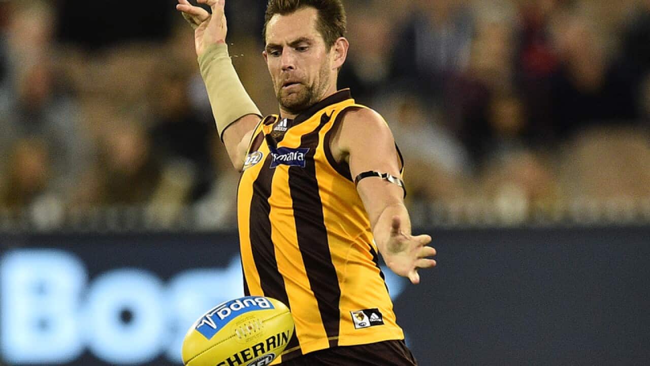 Luke Hodge of the Hawks
