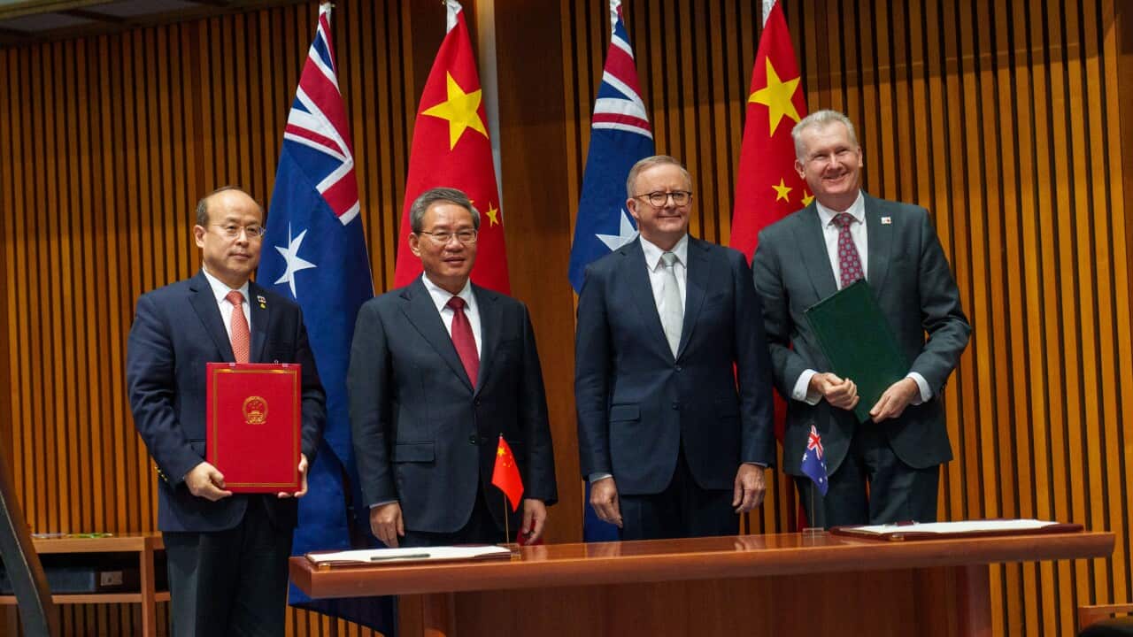 Image for read more article 'READ MORE'