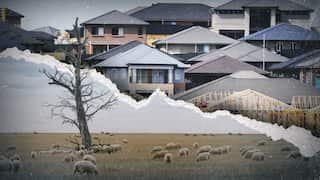 A stylised scene of a town, with sheep grazing in the foreground, a subtle ripple effect running through the landscape, and houses in the background.