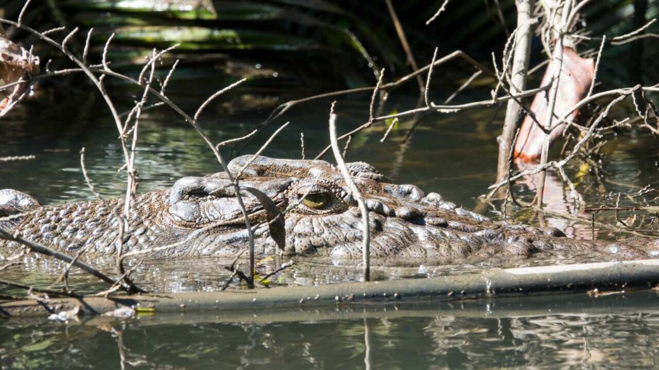 Image for read more article 'READ MORE'