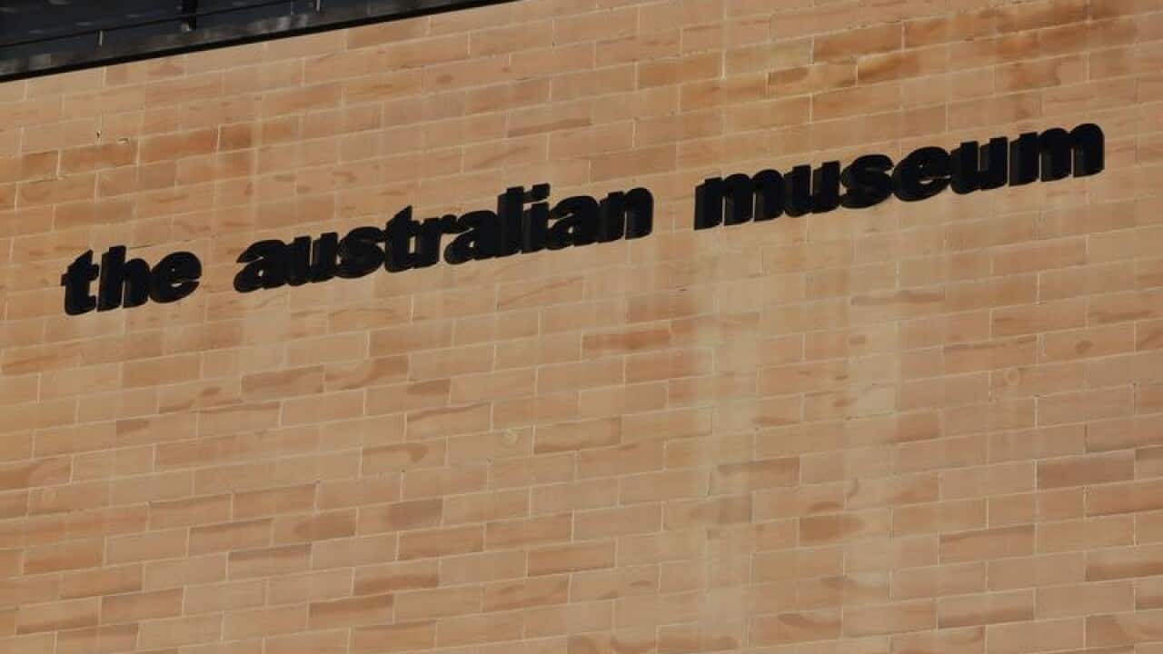 The Australian Museum