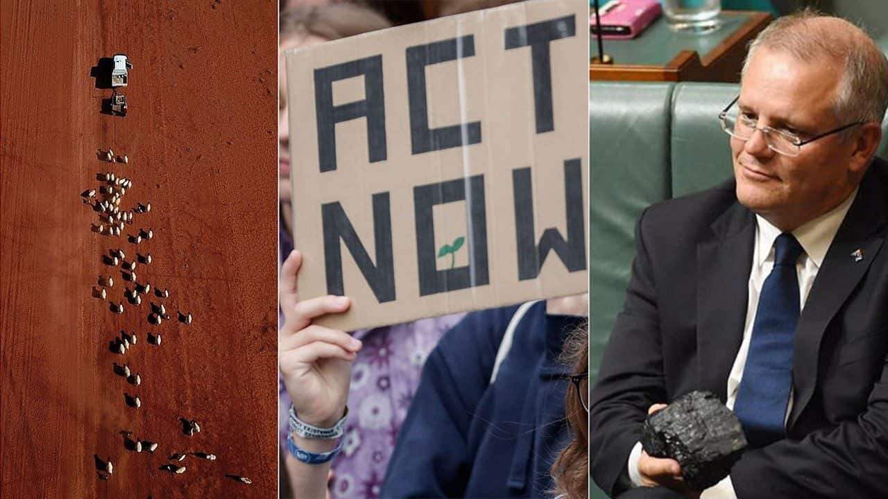 Scientists warn about climate change.