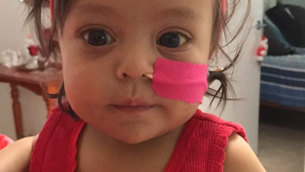 Two-year-old Andrea Grech (SBS)