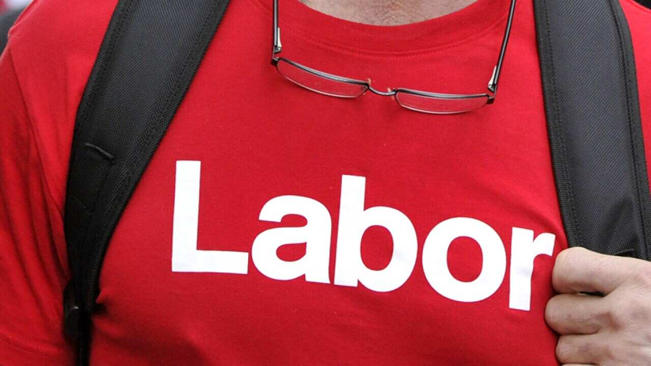 Labor Party stock