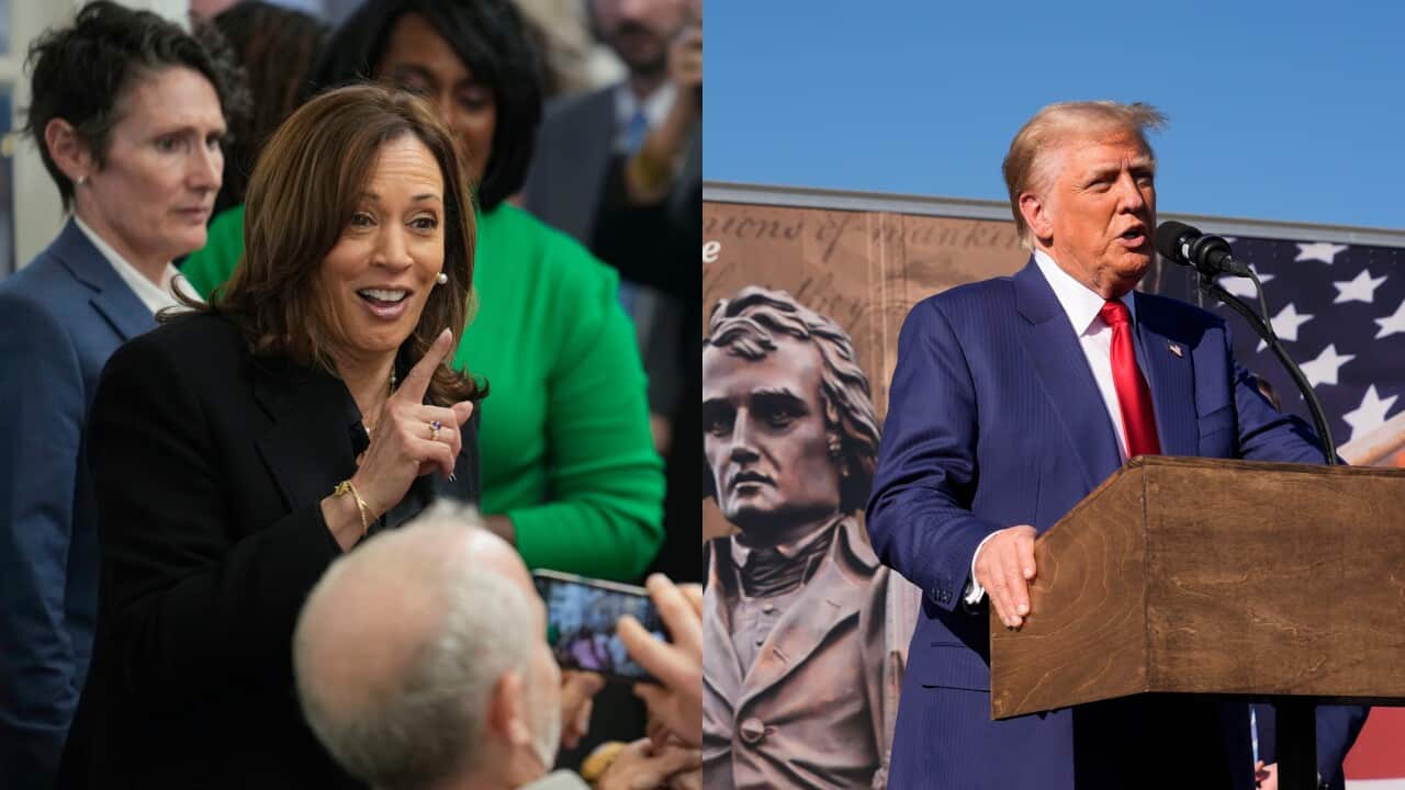 Trump/Harris