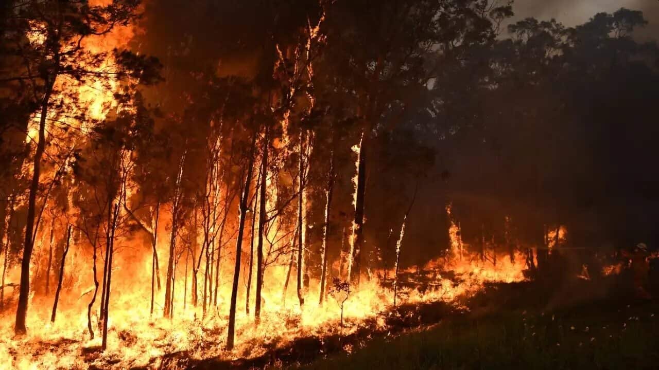 Image for read more article 'ΔΕΙΤΕ ΑΚΟΜΗ'