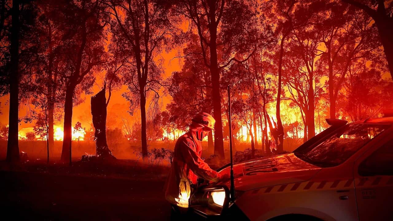 AUSTRALIA BUSHFIRES