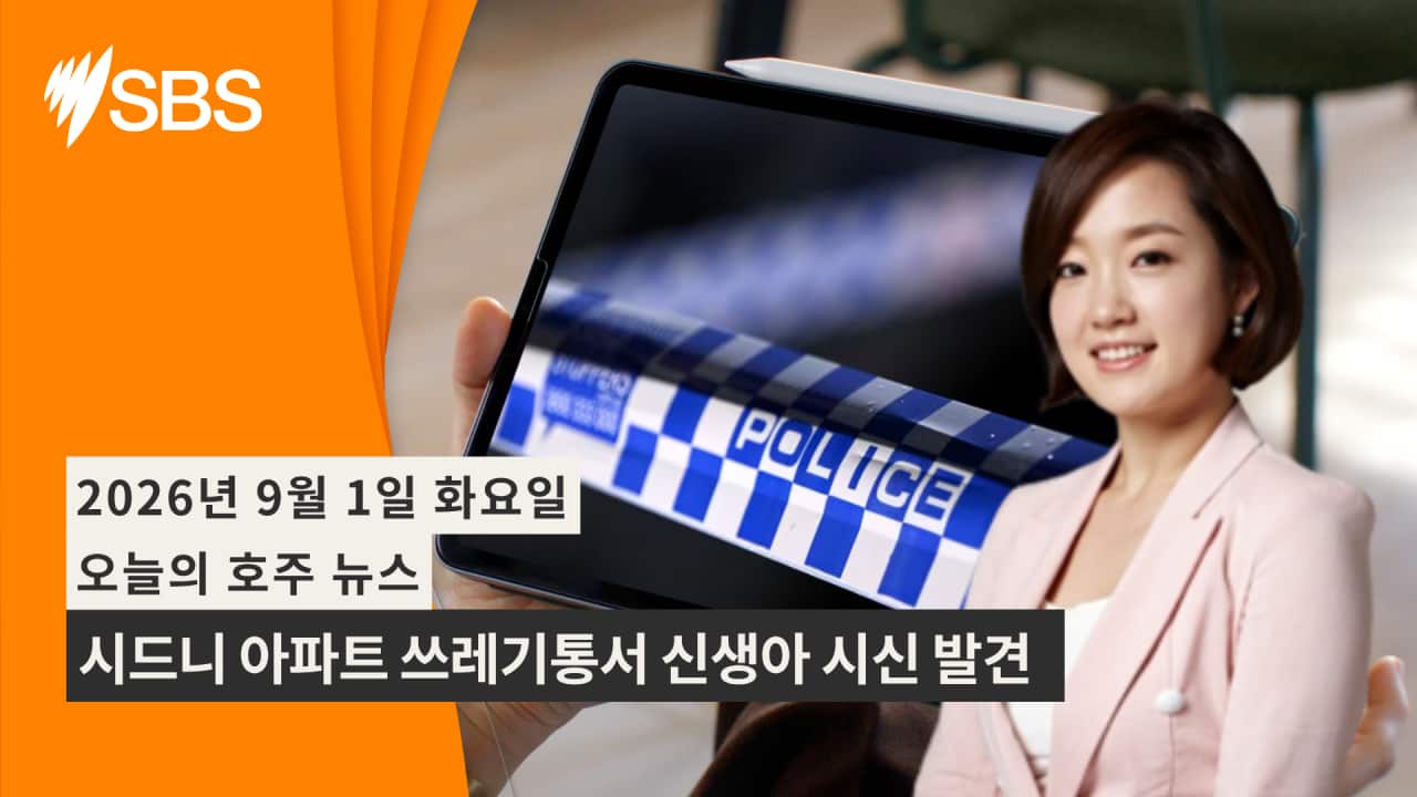 Video Newsflash (9).png
