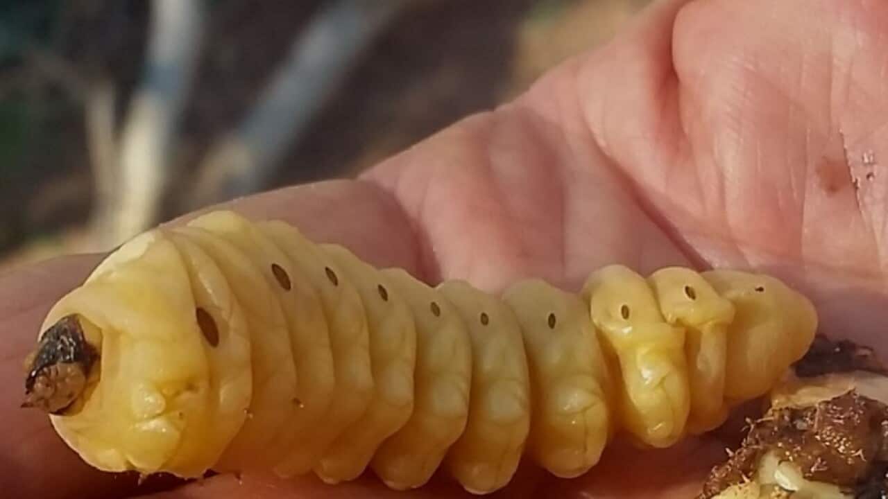 Image for read more article 'Baca juga'