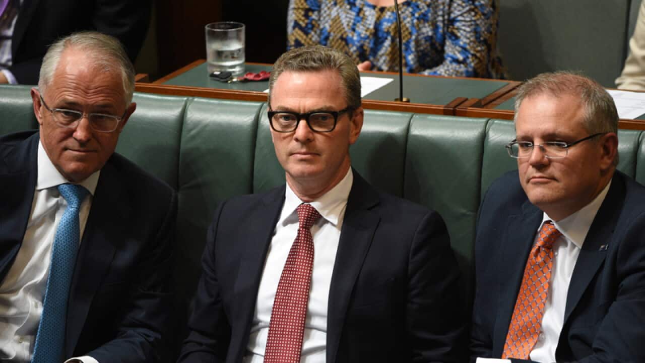 Malcolm Turnbull, Christopher Pyne, Scott Morrison