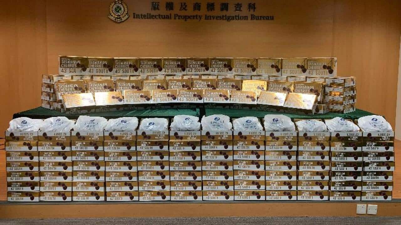 Tasmanian cherry counterfeiters