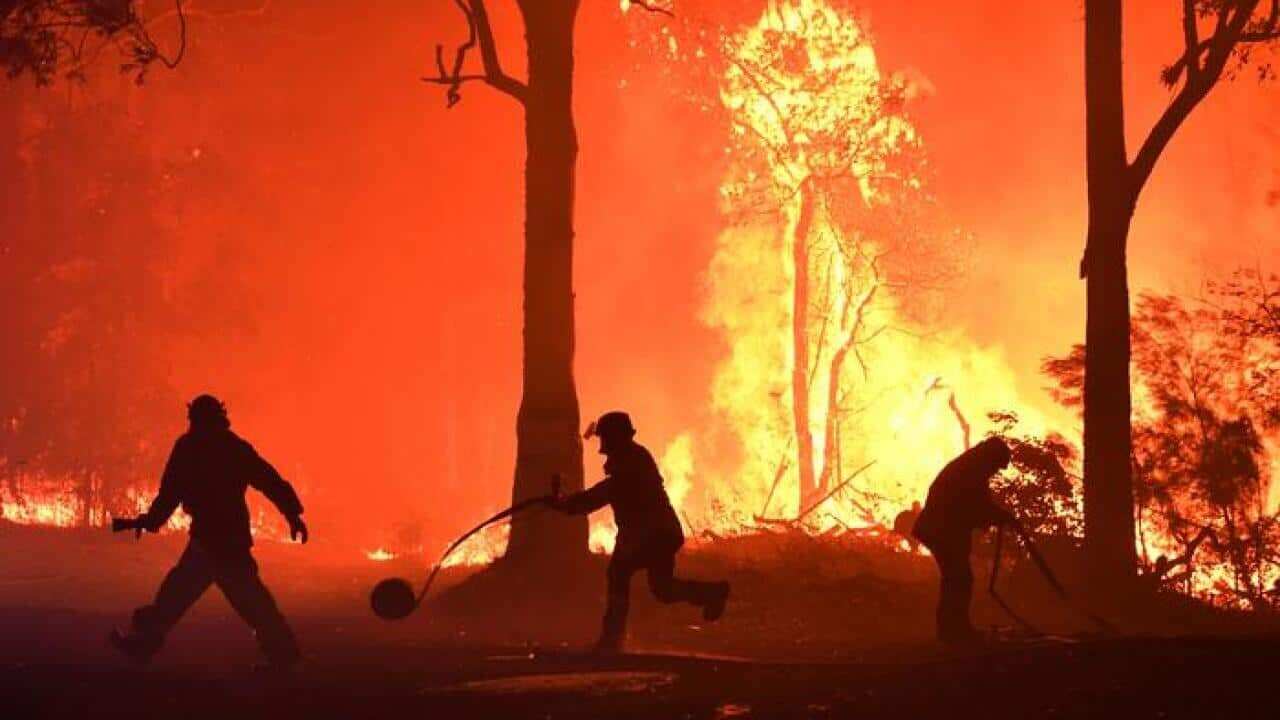 Fire danger.jpg