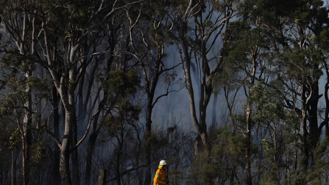 The site of a bushfire at Windsor Downs