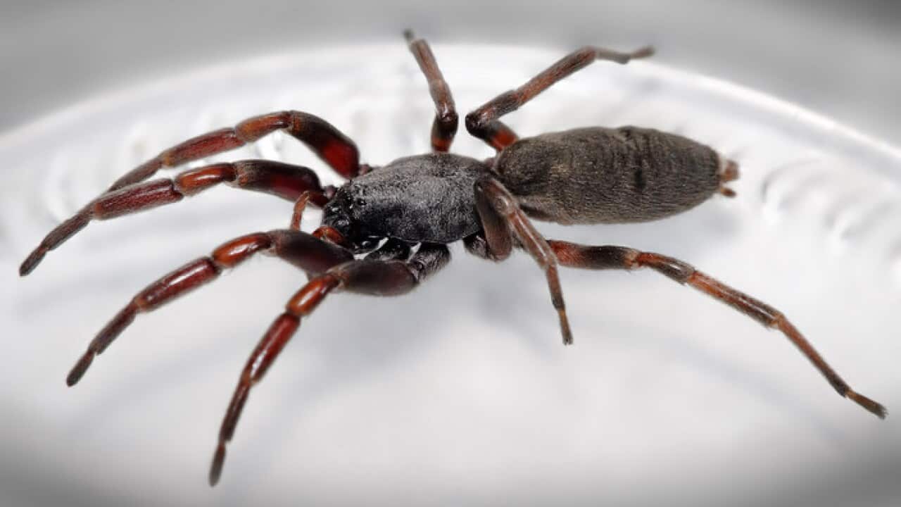 Image for read more article 'Contenido relacionado:'