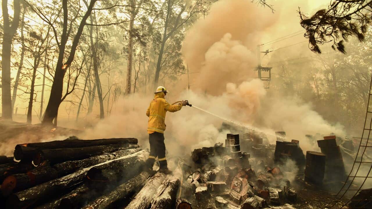 Firefighters hose down a burning woodpile during a bushfire in Werombi, NSW