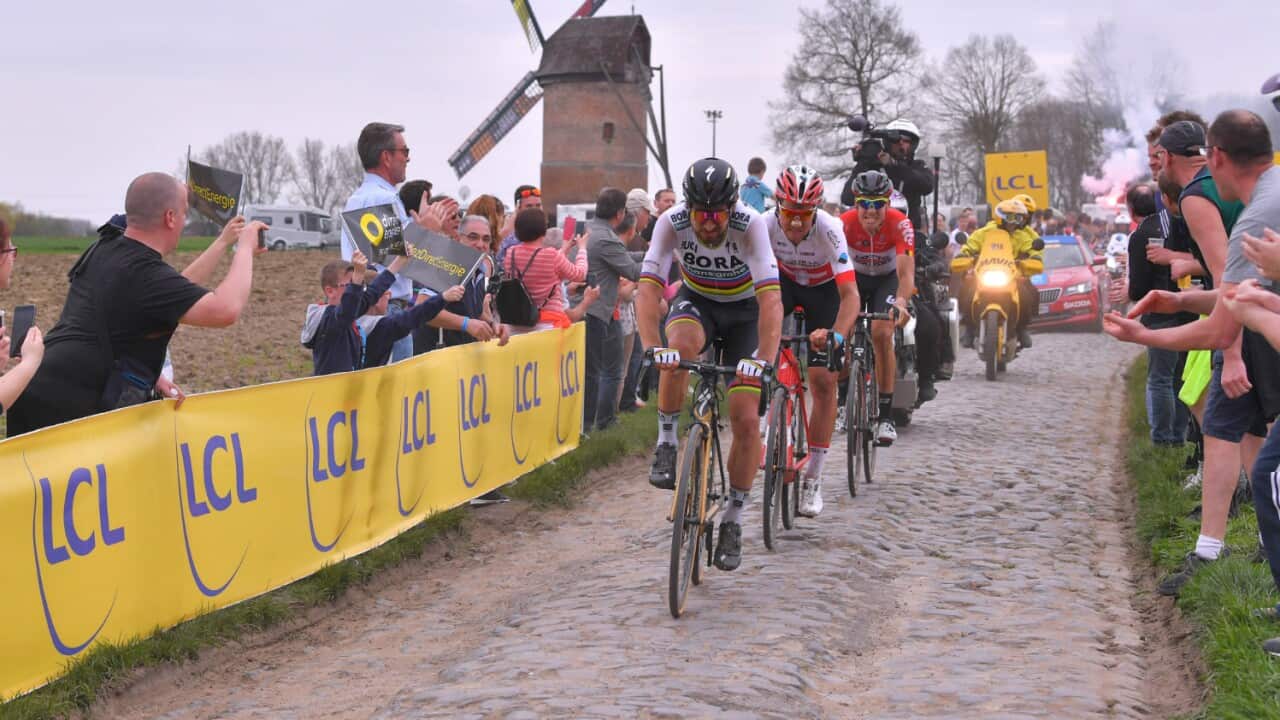 Peter Sagan, BORA-hansgrohe, Paris-Roubaix